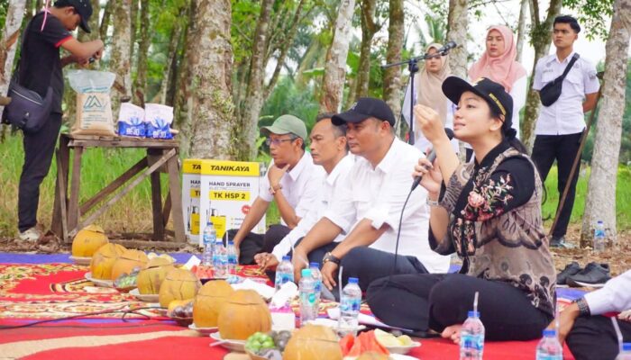 Bupati Dharmasraya Luncurkan Program Inovatif Budidaya Padi Pokok Murah