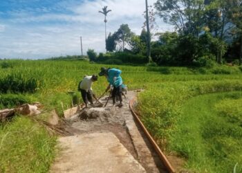 Pembangunan Jalan Usaha Tani Pasamayan Banyak Jorong Jambu Nagari Batipuah Ateh