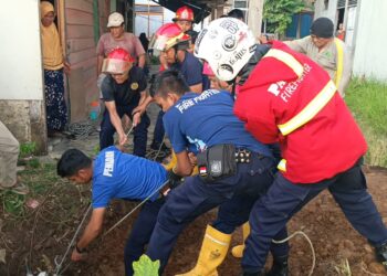 Damkar Padang Berhasil Selamatkan Sapi Masuk Sumur di Bandar Buat