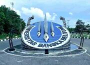 Universitas Bangka Belitung Buka Pendaftaran Mahasiswa Jalur Mandiri