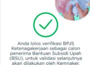BSU Rp600 Ribu Belum Cair? Ini Kata Kemnaker