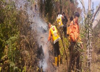 Perkembangan Situasi dan Penanganan Bencana 16 Juli 2025