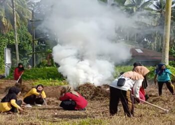 Ibu-ibu PKK Nagari Lareh Nan Panjang Goro Bersama Tanam Tanaman Obat di Lahan Kosong Depan Kantor Nagari