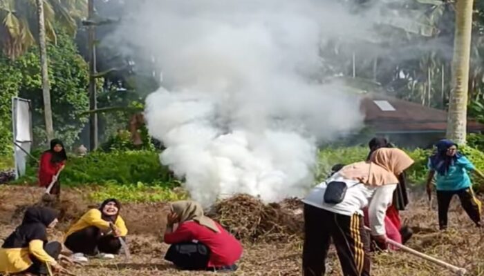 Ibu-ibu PKK Nagari Lareh Nan Panjang Goro Bersama Tanam Tanaman Obat di Lahan Kosong Depan Kantor Nagari