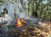 Tangani Karhutla di Riau, BNPB Laksanakan Operasi Modifikasi Cuaca