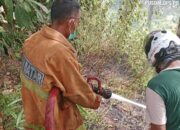 Perkembangan Situasi dan Penanganan Bencana di Tanah Air Tanggal 21 Juli 2025