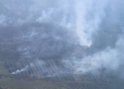 Tinjau Karhutla Riau, Kepala BNPB Perkuat Amunisi Satgas Karhutla