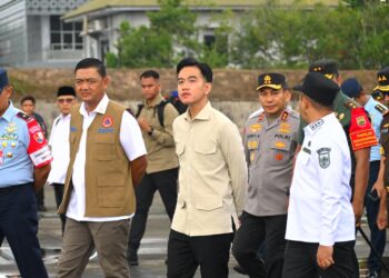 Kondisi Terkendali, Wapres Gibran Apresiasi Penanganan Karhutla Riau