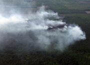 BNPB dan Kementerian Lingkungan Hidup Perkuat Sinergi Perangi Karhutla di Bumi Sriwijaya