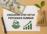 Pertanian Jadi Pilar Ekonomi Sumbar, Pemprov Alokasikan 10 Persen APBD