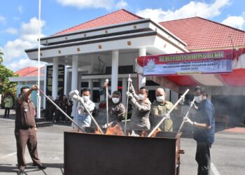 49 BB dari Perkara Pidum Kejari Pasbar Dimusnahkan