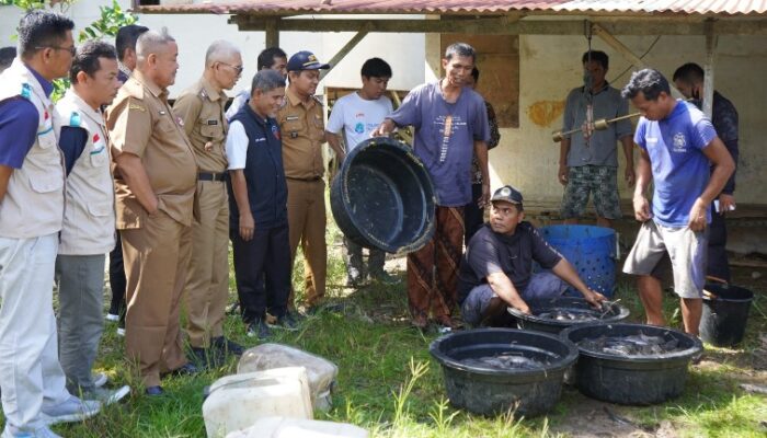 Warga Kota Padang Diminta Manfaatkan Perikanan Budidaya