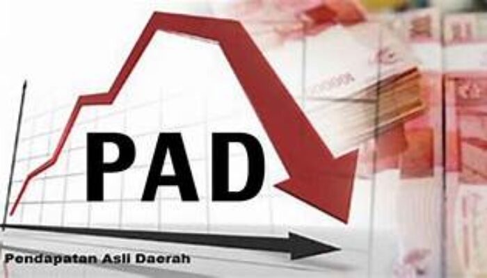 Realisasi PAD Sumbar 2025 Merosot, Pengamat: Ada Masalah Struktural Serius