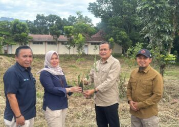 Kolaborasi PT Semen Padang dan Kwarda Sumbar: Tanam 50 Ribu Kaliandra untuk Energi Hijau