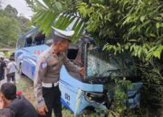 Bus ANS vs Colt Diesel di Jalinsum, Satu Orang Tewas