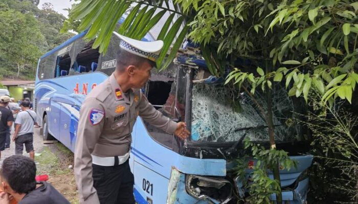 Bus ANS vs Colt Diesel di Jalinsum, Satu Orang Tewas