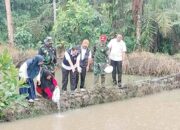 TMMD Reguler ke-125 Tebar Benih Ikan Nila di Dharmasraya