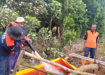 Perkembangan Situasi dan Penanganan Bencana 7 Juli 2025