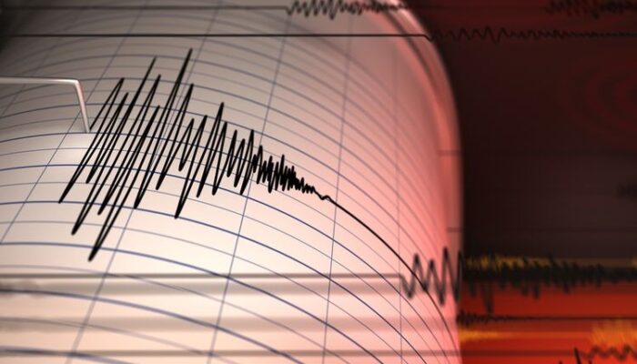 Gempa M 5,1 Guncang Kepulauan Tanimbar Kepulauan Maluku