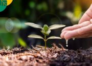 Sembilan Gebrakan Pertanian Sumbar: Dari Bengkel Alsintan hingga Sertifikasi Benih