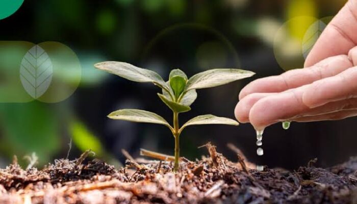 Sembilan Gebrakan Pertanian Sumbar: Dari Bengkel Alsintan hingga Sertifikasi Benih