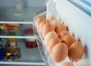 Batas Aman Menyimpan Telur di Suhu Ruang dan Kulkas