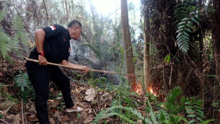 Tim gabungan lakukan upaya pemadaman kebakaran hutan dan lahan yang terjadi di Kota Padang, Sumatera Barat pada Jumat (27/6). Sumber foto: BPBD Kota Padang.