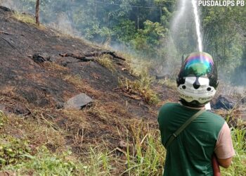 Pemprov Sumbar Ajukan Permintaan Hujan Buatan, 270 Hektare Lahan di 6 Kabupaten/Kota Terbakar