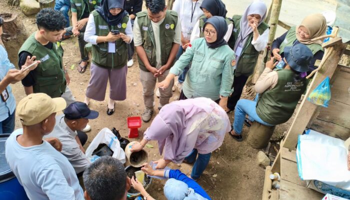 Tim Pengabdian UNP Kampus Sijunjung Gelar Pendampingan Pengolahan Limbah Kotoran Kambing