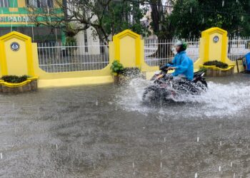 Hujan Deras Landa Kota Padang, Warga Diminta Waspada Genangan Air dan Pohon Tumbang