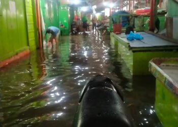 Intensitas Hujan Tinggi dan Air Pasang, Kawasan Pasar Tanah Kongsi Digenangi Air