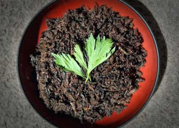 Gastronomi dalam Lintas Waktu: Eksistensi Rendang Belalang yang Takkan pernah Hilang 