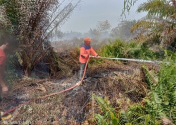 Perkembangan Situasi dan Penanganan Bencana di Tanah Air Tanggal 19 Agustus 2025