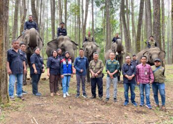 Pertamina Pematang Siantar Dukung Wisata Edukasi Konservasi Gajah di Aek Nauli