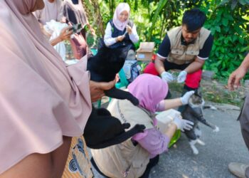 Antisipasi Rabies, Ratusan Hewan Peliharaan di Asampulau Divaksinasi