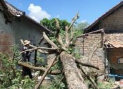 Perkembangan Situasi dan Penanganan Bencana 23 Agustus 2025