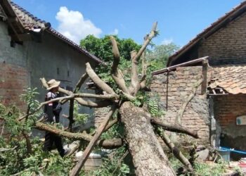 Perkembangan Situasi dan Penanganan Bencana 23 Agustus 2025