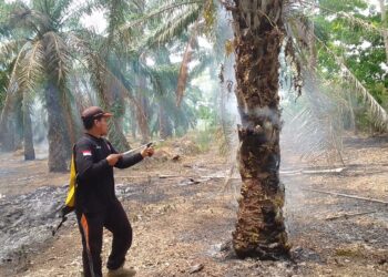 Perkembangan Situasi dan Penanganan Bencana 28 Agustus 2025
