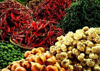 Harga Pangan Akhir Agustus di Solok Selatan : Beras dan Bawang Merah Naik, Bawang Putih Turun