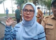 Masyarakat Didorong Aktif Selamatkan Penyu di Sumbar