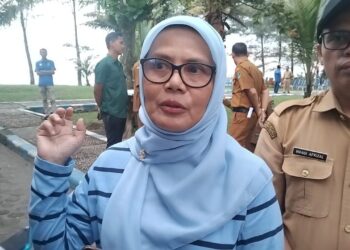 Masyarakat Didorong Aktif Selamatkan Penyu di Sumbar
