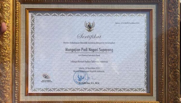 Mangajian Padi Supayang Ditetapkan sebagai WBTbI, Abasril: Ini Pengakuan Negara atas Kearifan Lokal