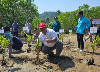Dukung Pelestarian Pesisir, PT Semen Padang Ikut Serta Dalam Penanaman 1.000 Bibit Mangrove di Sungai Pisang