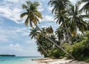 Rekomendasi Gubernur , Izin Pusat : Pulau Kecil Sipora Diambang Konsesi