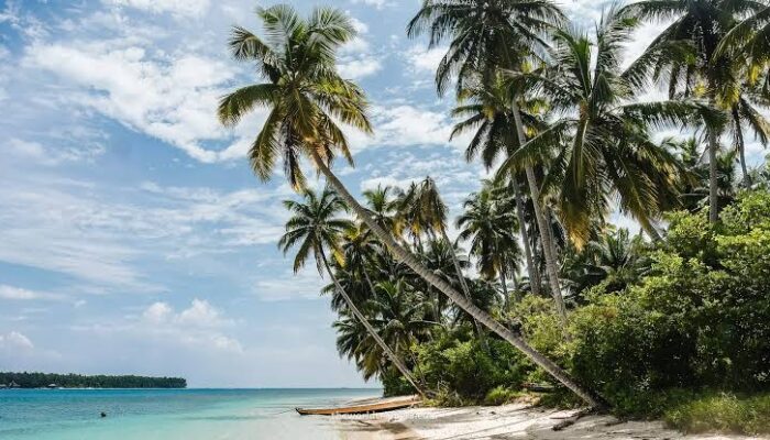 Rekomendasi Gubernur , Izin Pusat : Pulau Kecil Sipora Diambang Konsesi