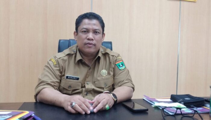 Swasembada Daging di Sumbar Terkendala Regulasi