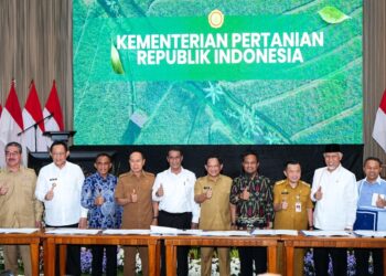 Dua Pabrik  Segera Dibangun, Sumbar Bersiap Jadi Pusat Industri Hilirisasi Gambir.