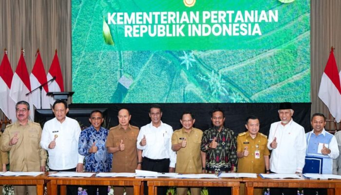 Dua Pabrik  Segera Dibangun, Sumbar Bersiap Jadi Pusat Industri Hilirisasi Gambir.