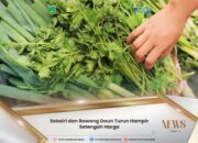 Harga Kebutuhan Bahan Pokok di Padang Panjang Turun