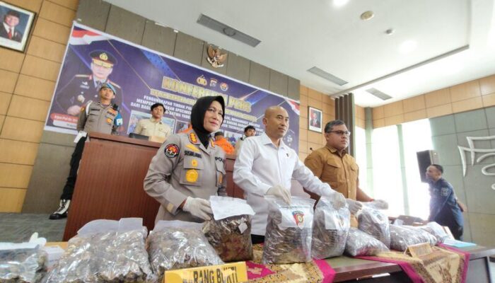 Geger di Padang! Polda Sumbar Bongkar Perdagangan 25 Kg Sisik Trenggiling Bernilai Miliaran